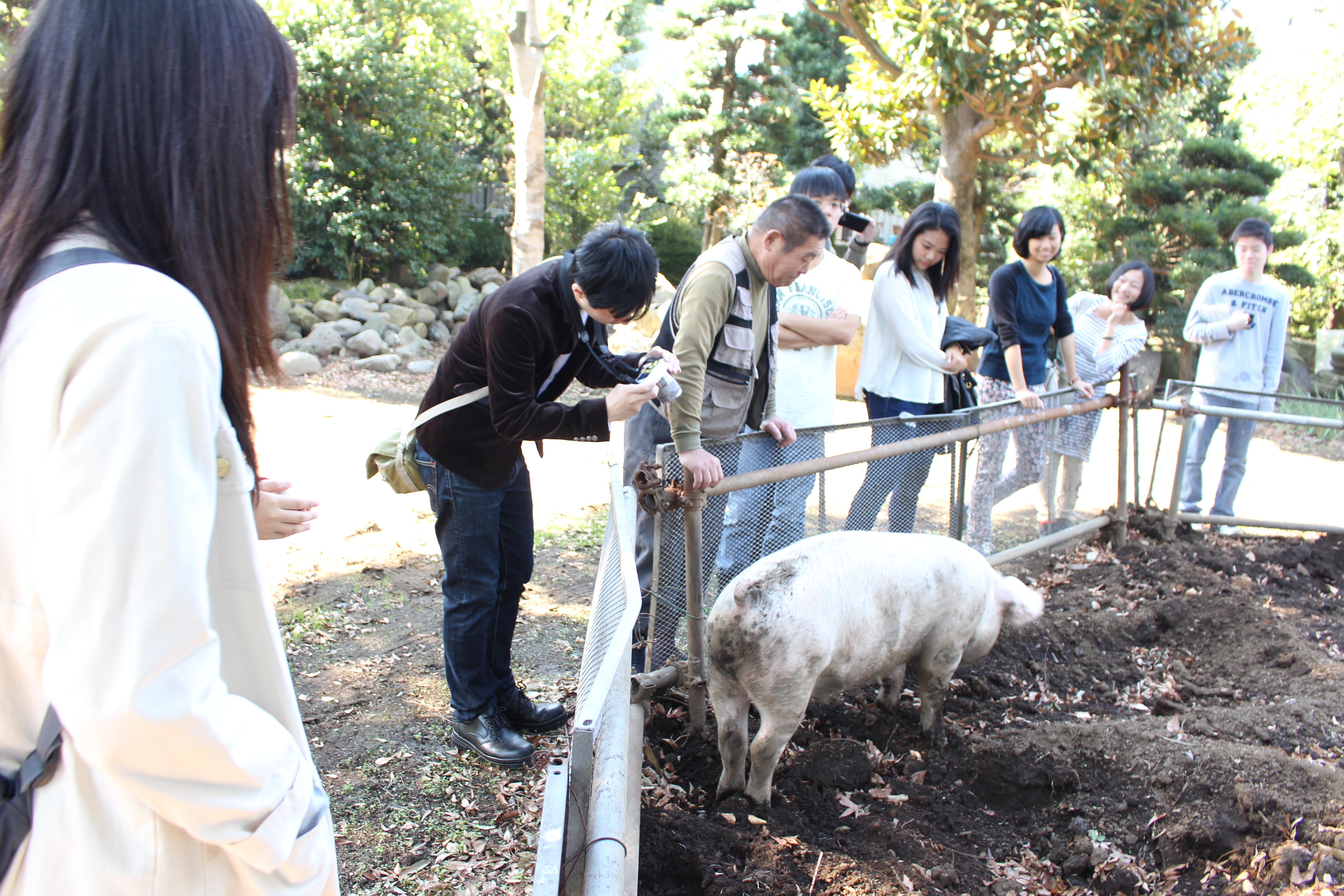 tokyo agri 026.JPGのサムネール画像