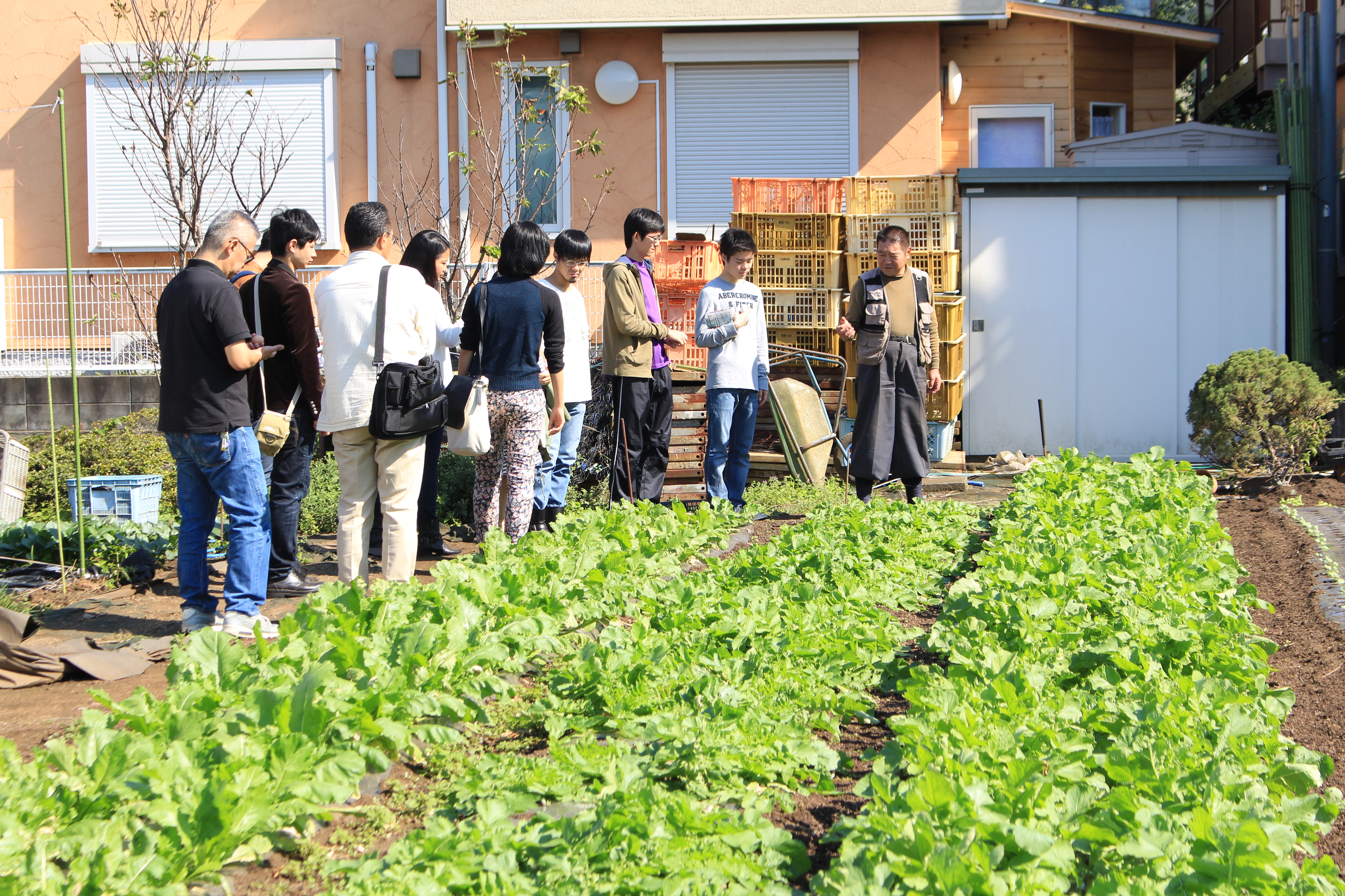 http://www.tnlab.net/melcblog/blogimage/tokyo%20agri%20078.JPG